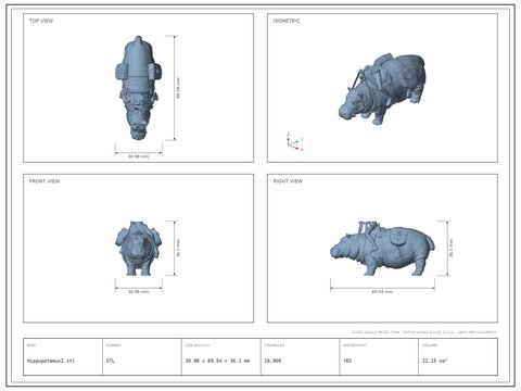 Hippopotamus2