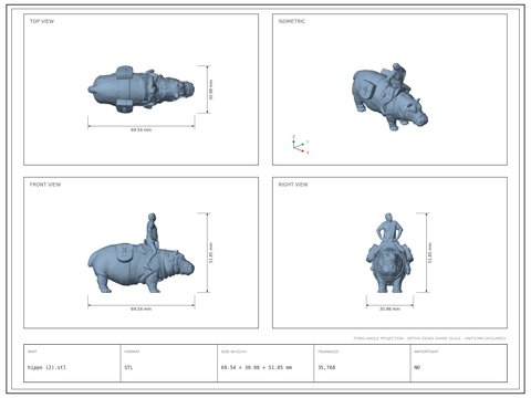 hippo (2)