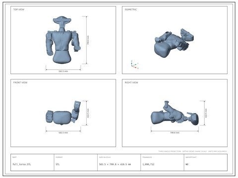 full_torso